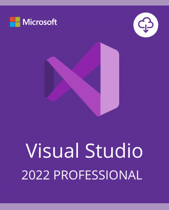 Visual Studio 2022 Professional