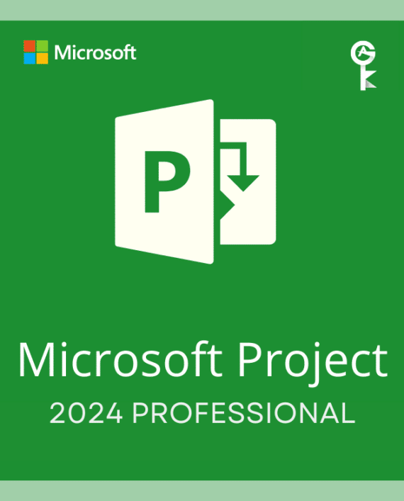 project 2024 professional