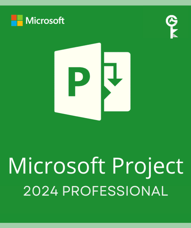 project 2024 professional