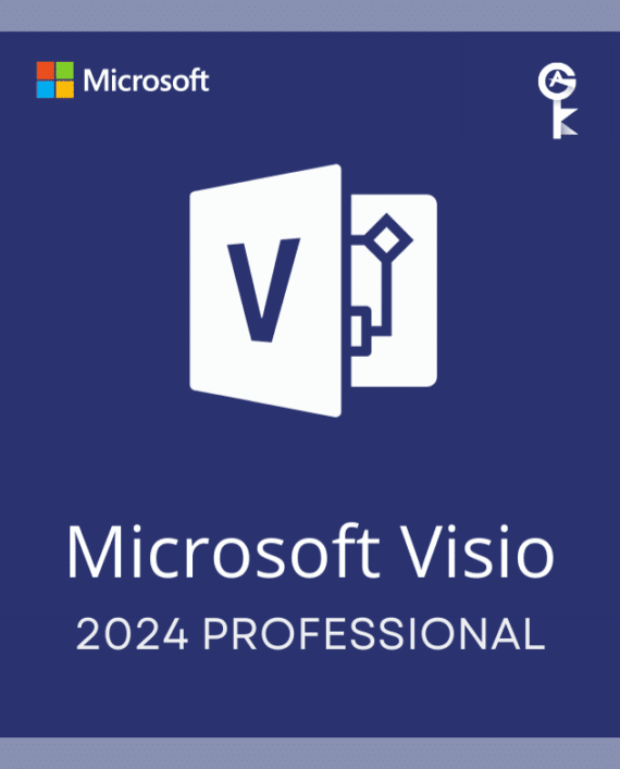 visio 2024 professional